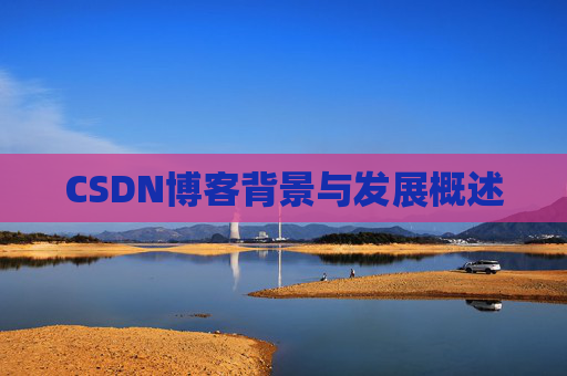 CSDN博客背景与发展概述
